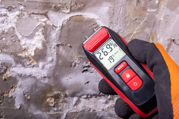 Best Kitchen Mold Remediation in Braidwood, IL